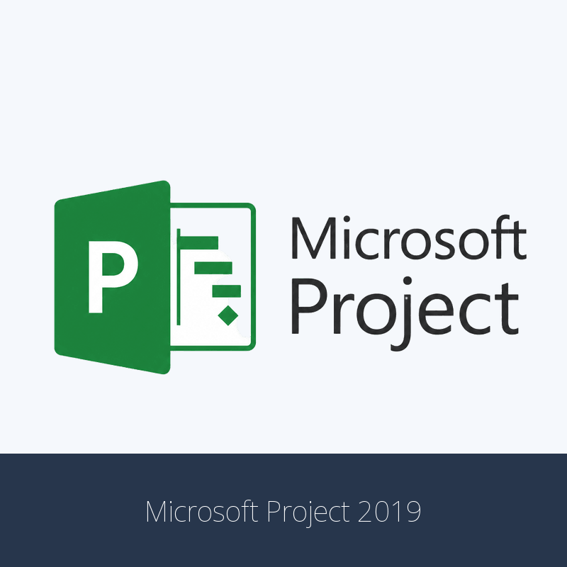 Microsoft Project 2019